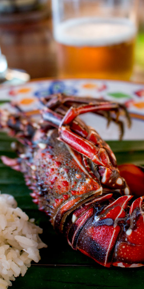 Casa Querencia - Luxury Home Rental - Fresh Seafood - Punta Mita Mexico